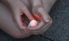 Photograph of hands cradling a candle