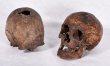 The Holywell Skulls (Property of the British Jesuit Province. Image copyright Stonyhurst College)