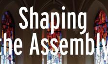 Cover of 'Shaping the Assembly'
